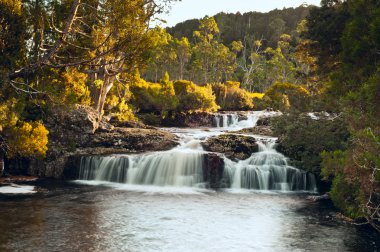 cradle mountain lodge yakın şelale