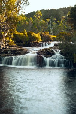 cradle mountain lodge yakın şelale