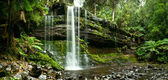 Картина, постер, плакат, фотообои "russell falls, mount field national park, central tasmania", артикул 10609171