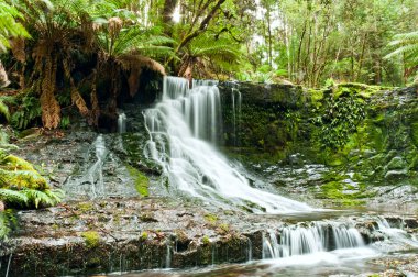 Horseshoe falls, mt alan milli park, Tazmanya