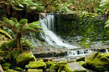 Horseshoe falls, mt alan milli park, Tazmanya