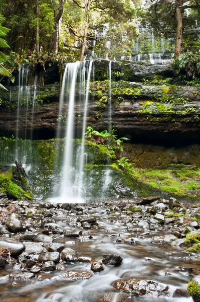 Russell falls, hora oblasti národního parku, Tasmánie centrální — Stock fotografie