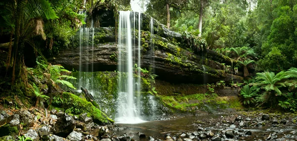 stock image Russell Falls, Mount Field National Park, Central Tasmania