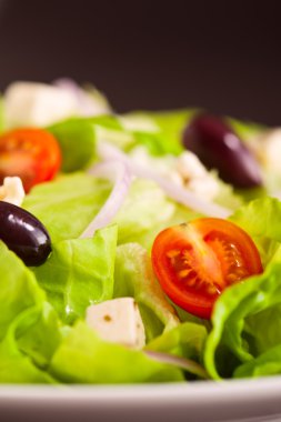 Taze Yunan salatası