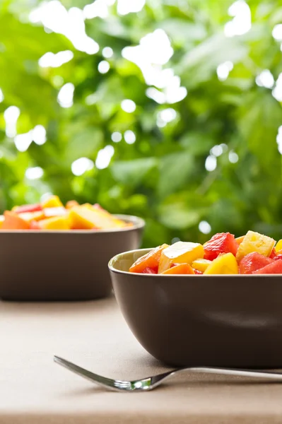 Duas tigelas de salada de frutas tropicais mistas — Fotografia de Stock