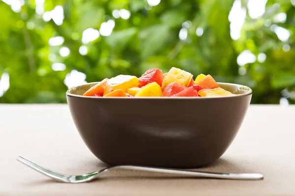 Un tazón de ensalada de frutas tropicales mixtas —  Fotos de Stock