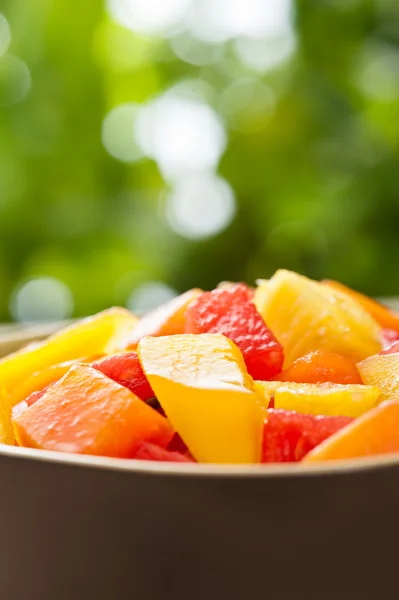 Uma tigela de salada de frutas tropicais mistas — Fotografia de Stock