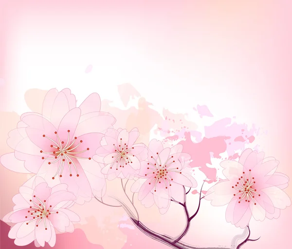 Красиві Сакура — стоковий вектор
