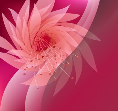 Flower on rose background clipart