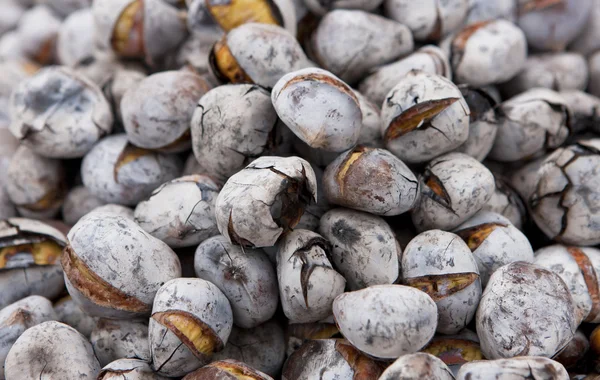 stock image Chestnuts