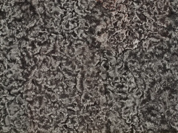 Karakul Texture Primo piano di una texture karakul nera — Foto Stock