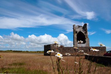 Carrigafoyle castle tower with wild flowers clipart