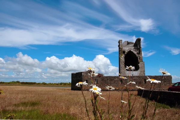 Carrigafoyle castle tower with wild flowers — Stock Photo, Image