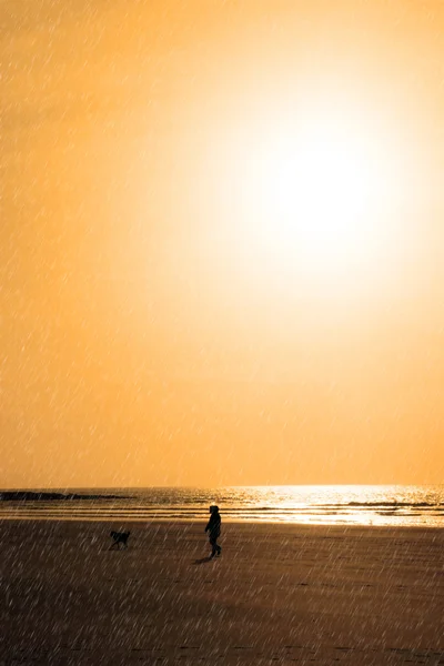 Niño y perro paseando en lluvia de sol dorada —  Fotos de Stock