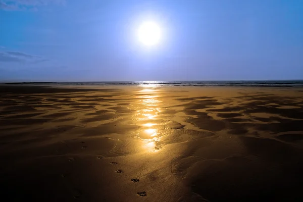 Солнечный свет отражается на золотом пляже — стоковое фото