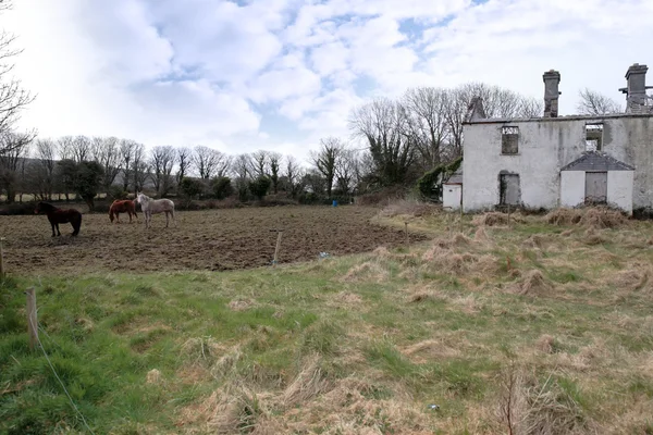 Eski terk edilmiş çiftlik — Stok fotoğraf