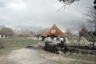 Ancient rustic cottage clipart
