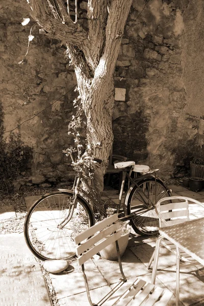 Rower zaparkować przed drzewem — Zdjęcie stockowe