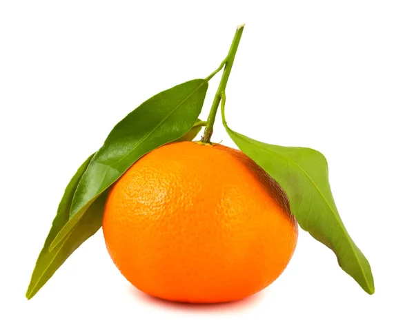 Mandarina madura — Foto de Stock