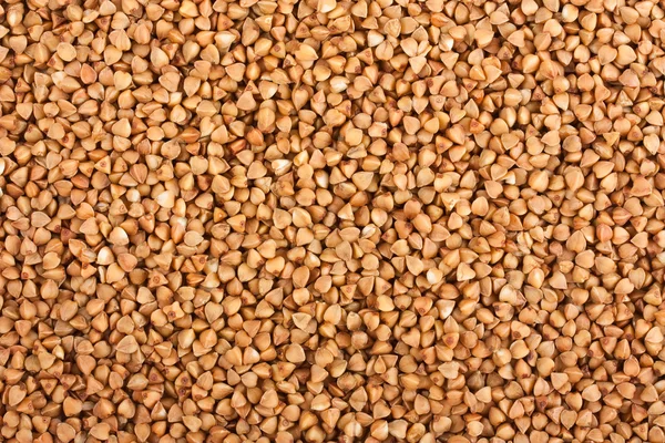 Background of the buckwheat — Stock Photo, Image