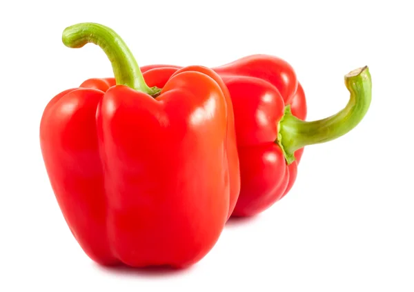 Due peperoni rossi — Foto Stock
