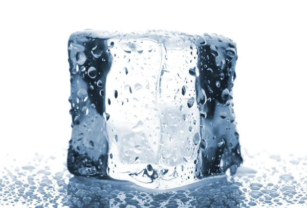 Einzelner Eiswürfel — Stockfoto