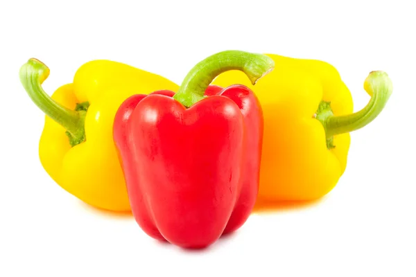 Rød og gul sød peber - Stock-foto