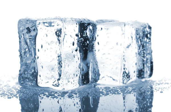 Pair of blue ice cubes Stock Image