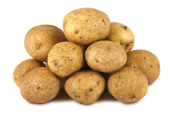 Massa rå potatis — Stockfoto