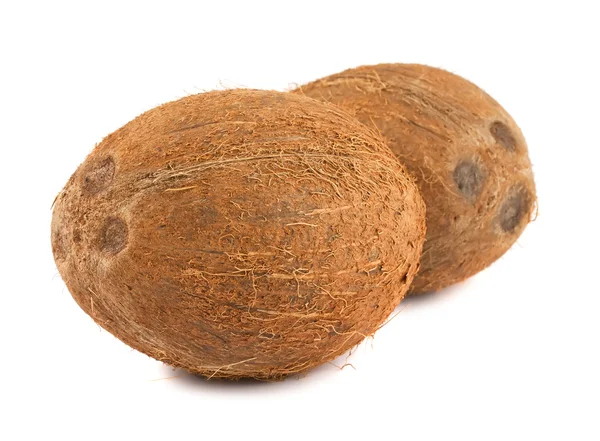 두 신선한 코코넛 — 스톡 사진