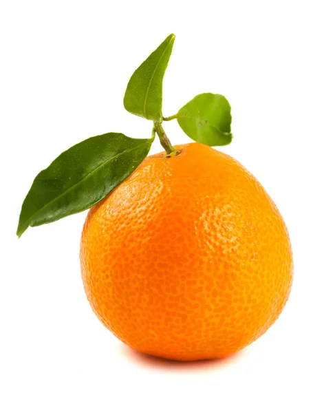 Mandarinka se zelenými listy — Stock fotografie