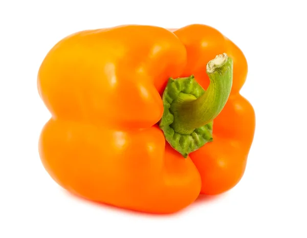 Narancssárga érett paprika — Stock Fotó