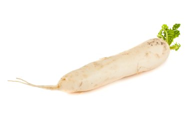 Daikon radish clipart