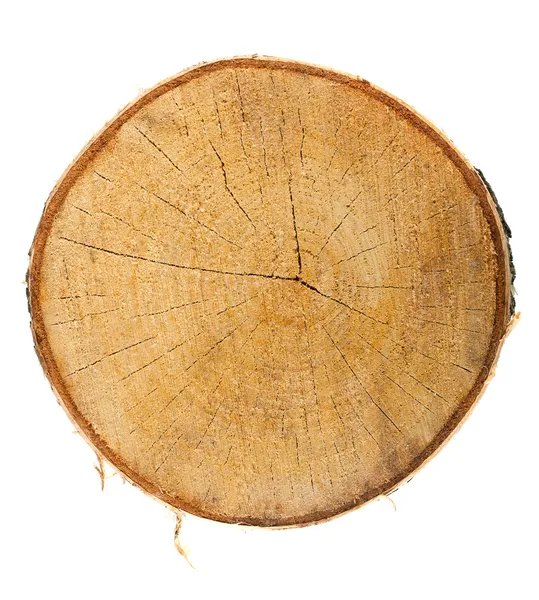 Vista superior de um toco de árvore — Fotografia de Stock