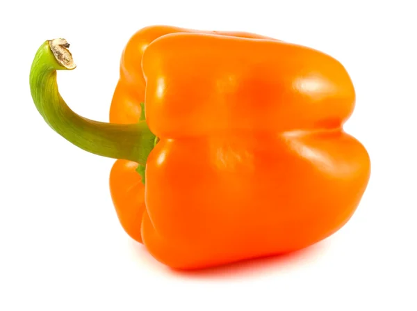 Single orange ripe pepper — Stock Photo, Image