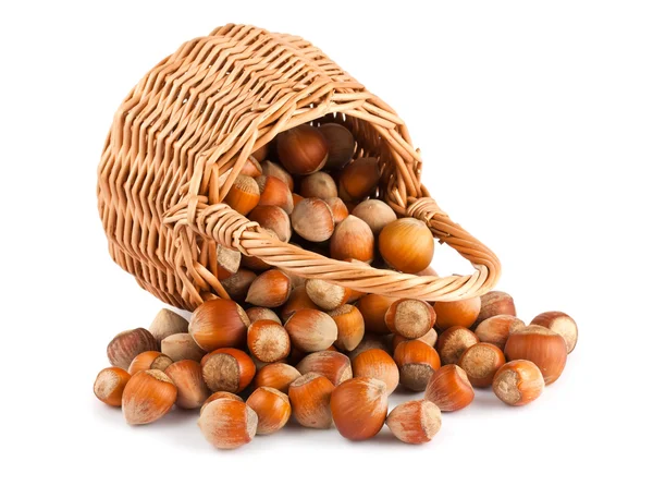 Wicker basket and hazelnuts — Stock Photo, Image