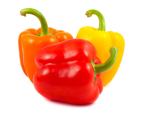 Tři paprika zeleninová — Stock fotografie