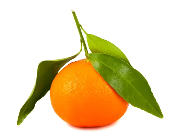 Solo mandarina con hojas — Foto de Stock