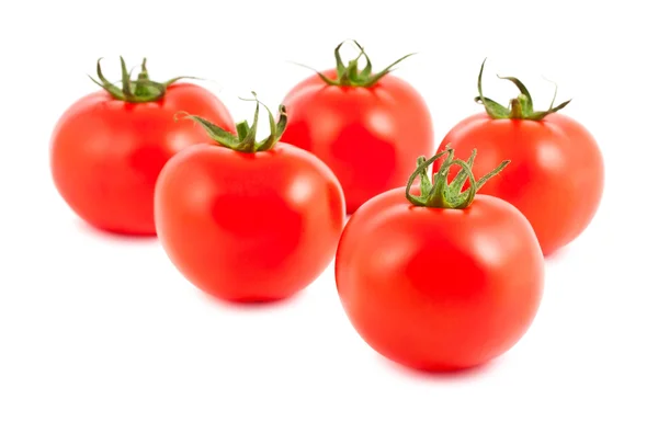 Fünf reife Tomaten — Stockfoto