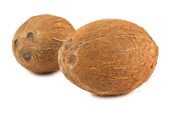 Dvě zralé kokosové ořechy — Stock fotografie