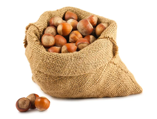 Canvas bag with hazelnuts — Stock Photo, Image