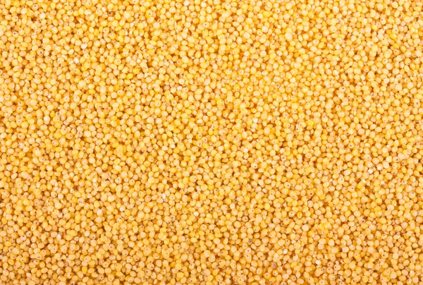 stock image Millet seeds background