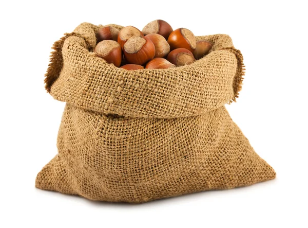 Canvas bag with ripe hazelnuts — Stock Photo, Image