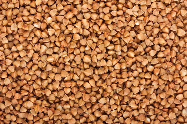 Buckwheat texture — Stock Photo, Image