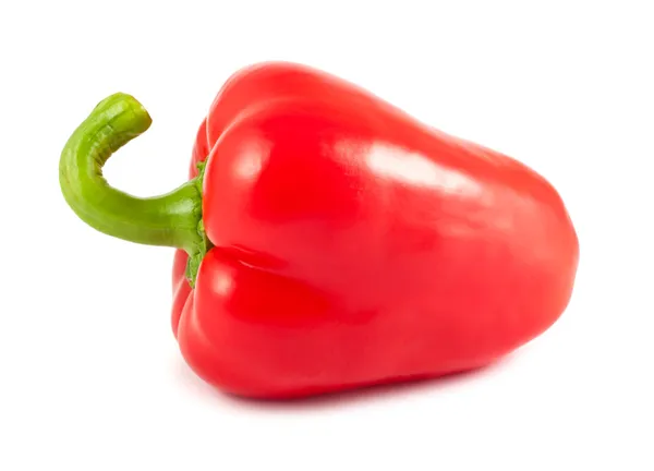 Single sweet pepper — Stock Photo, Image