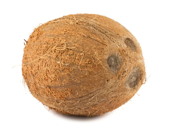 익은 갈색 코코넛 — 스톡 사진
