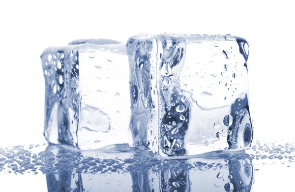 Paar van blauwe ijsblokjes — Stockfoto
