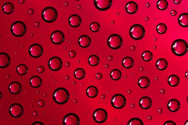 Kırmızı su damlaları — Stok fotoğraf