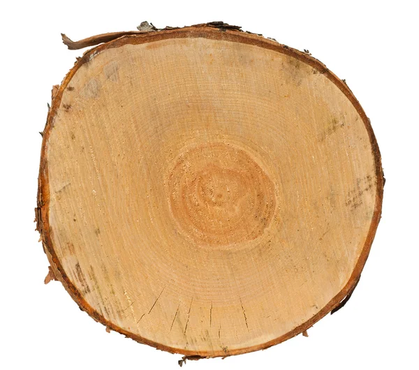Secção transversal do toco da árvore — Fotografia de Stock