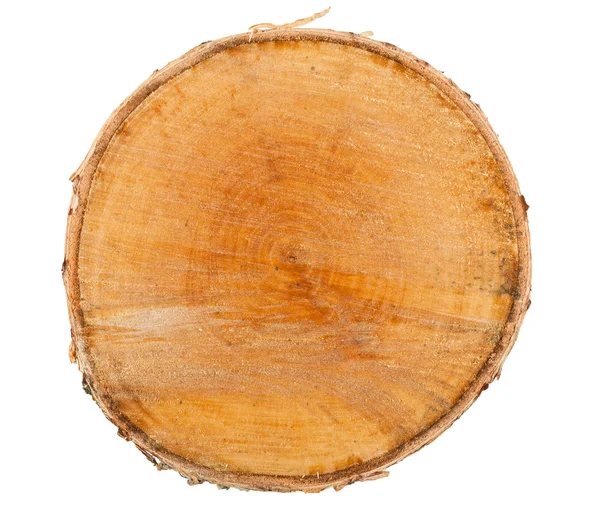 Sezione trasversale del tronco d'albero — Foto Stock